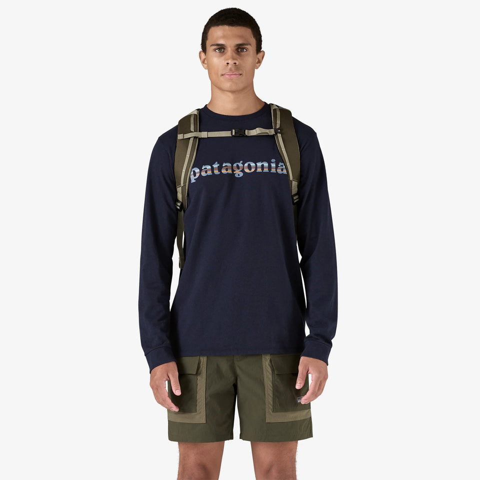 Patagonia Black Hole Pack 25L - Basin Green