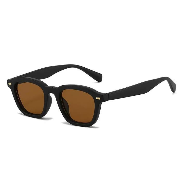 Flawless Eyewear Guepard Matt Black / Brown Lens