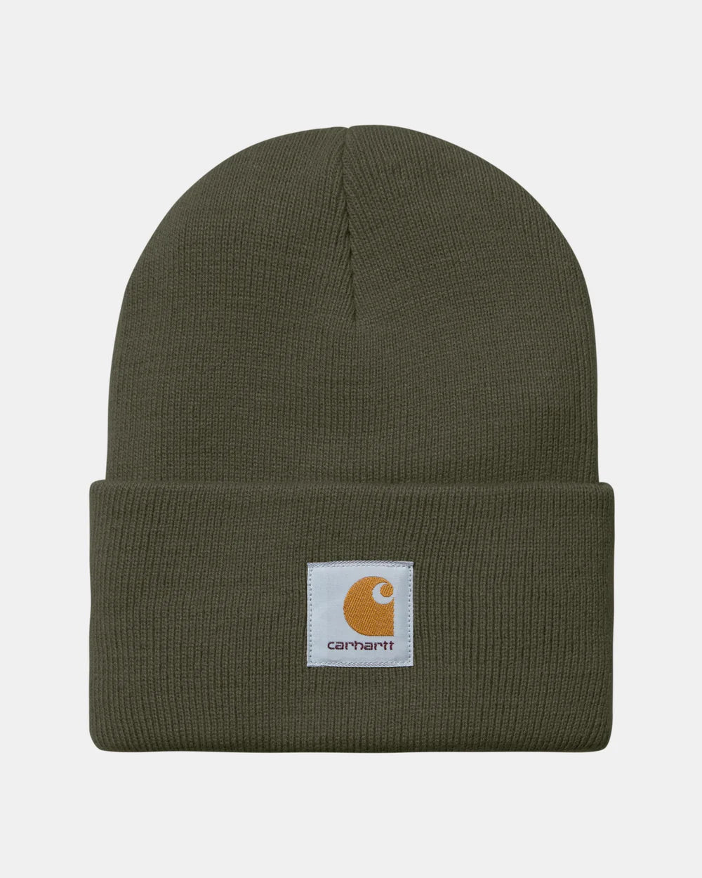 Carhartt Acrylic Watch Hat - Plant - Stencil