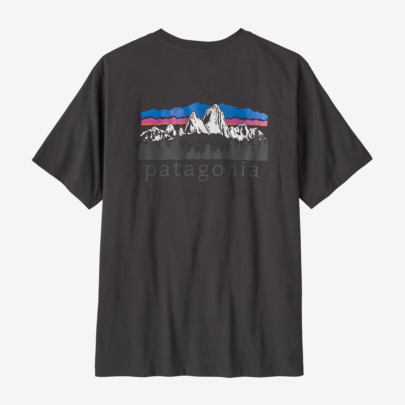 Patagonia Men's Fitz Roy Foothills T-Shirt - Ink Black - Stencil