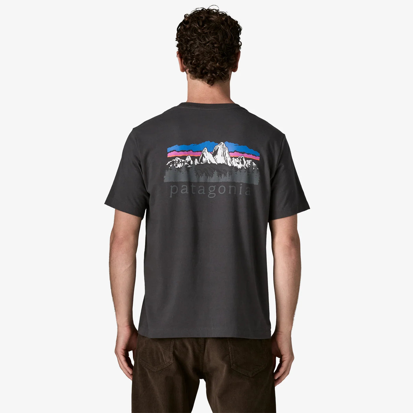 Patagonia Men's Fitz Roy Foothills T-Shirt - Ink Black - Stencil