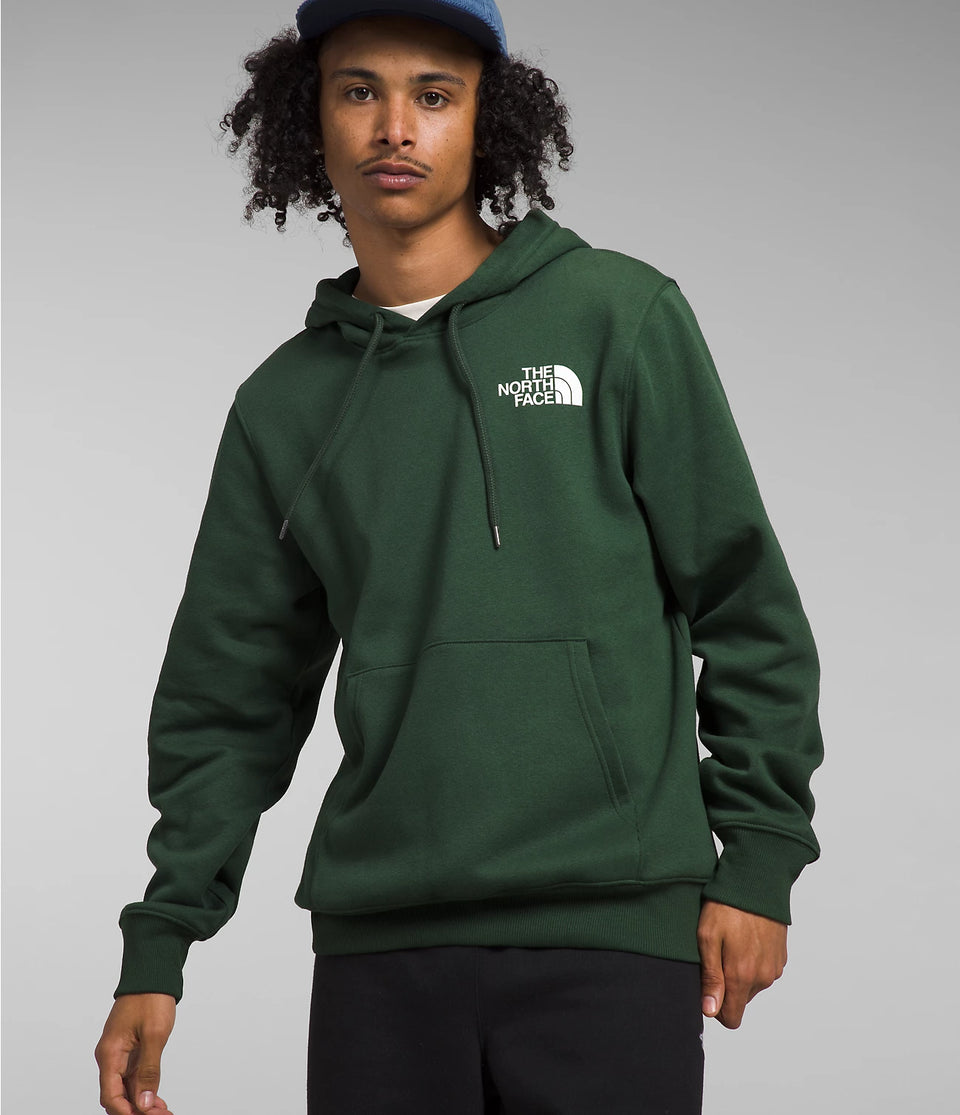 The north face mens pullover discount