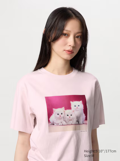 Uniqlo Women's Cat Photographs UT Graphic T-Shirt - 10 Pink