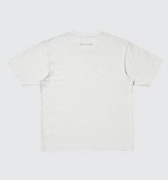 Uniqlo x Peanuts UT Graphics Tee - 03 Grey