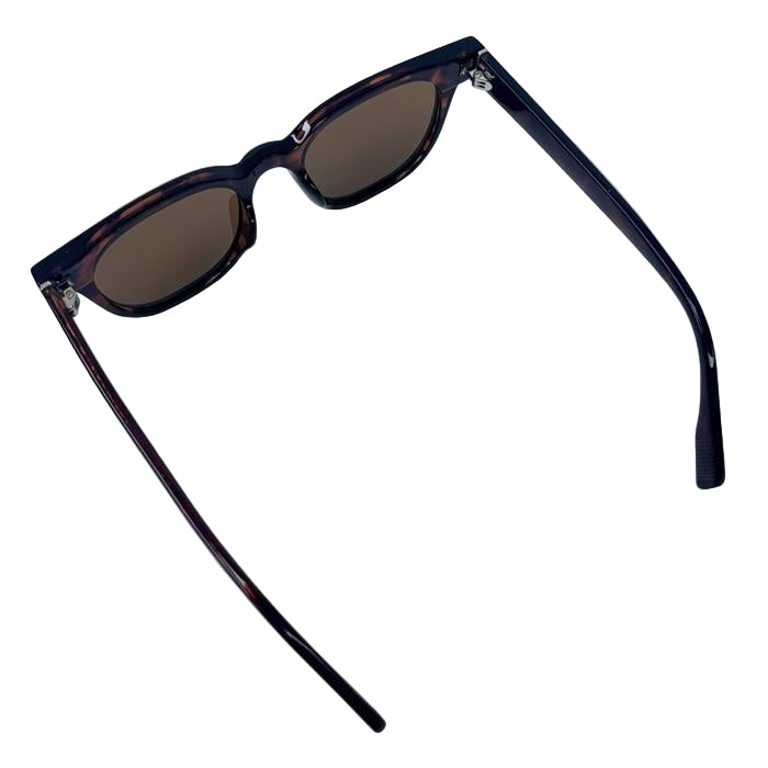 FL Eyewear Liam - Tort / Brown