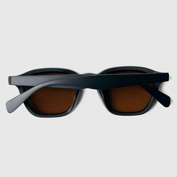 Flawless Eyewear Guepard Matt Black / Brown Lens