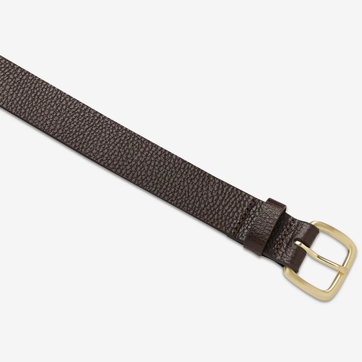 Status Anxiety Ease Up Belt - Choc/Gold - Stencil
