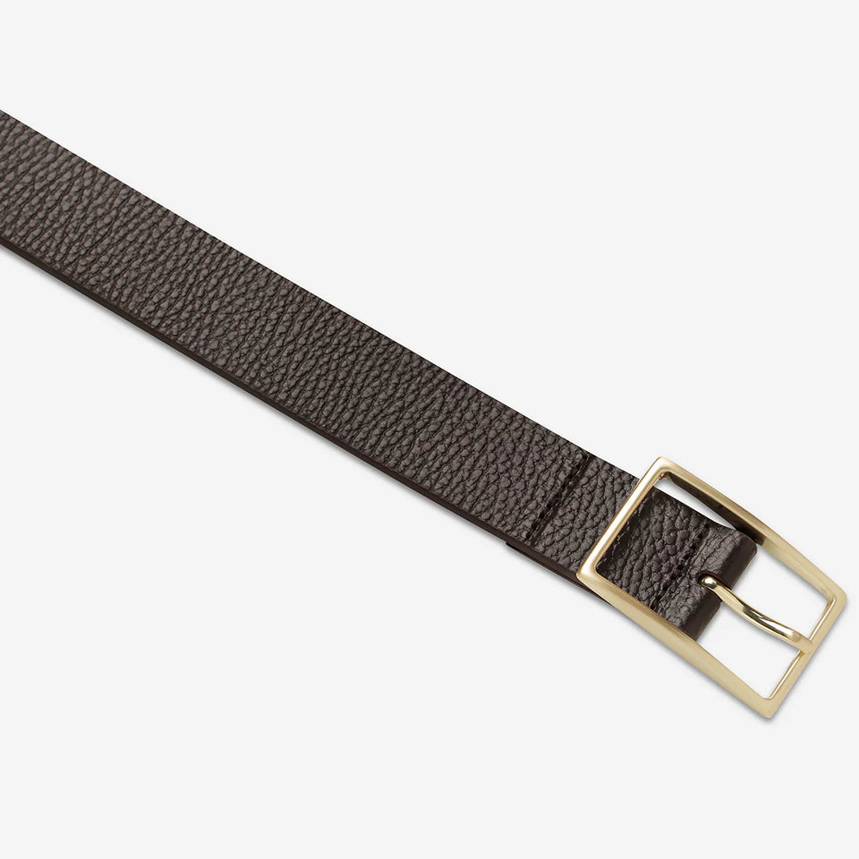 Status Anxiety Getting Real Belt - Choc/Gold