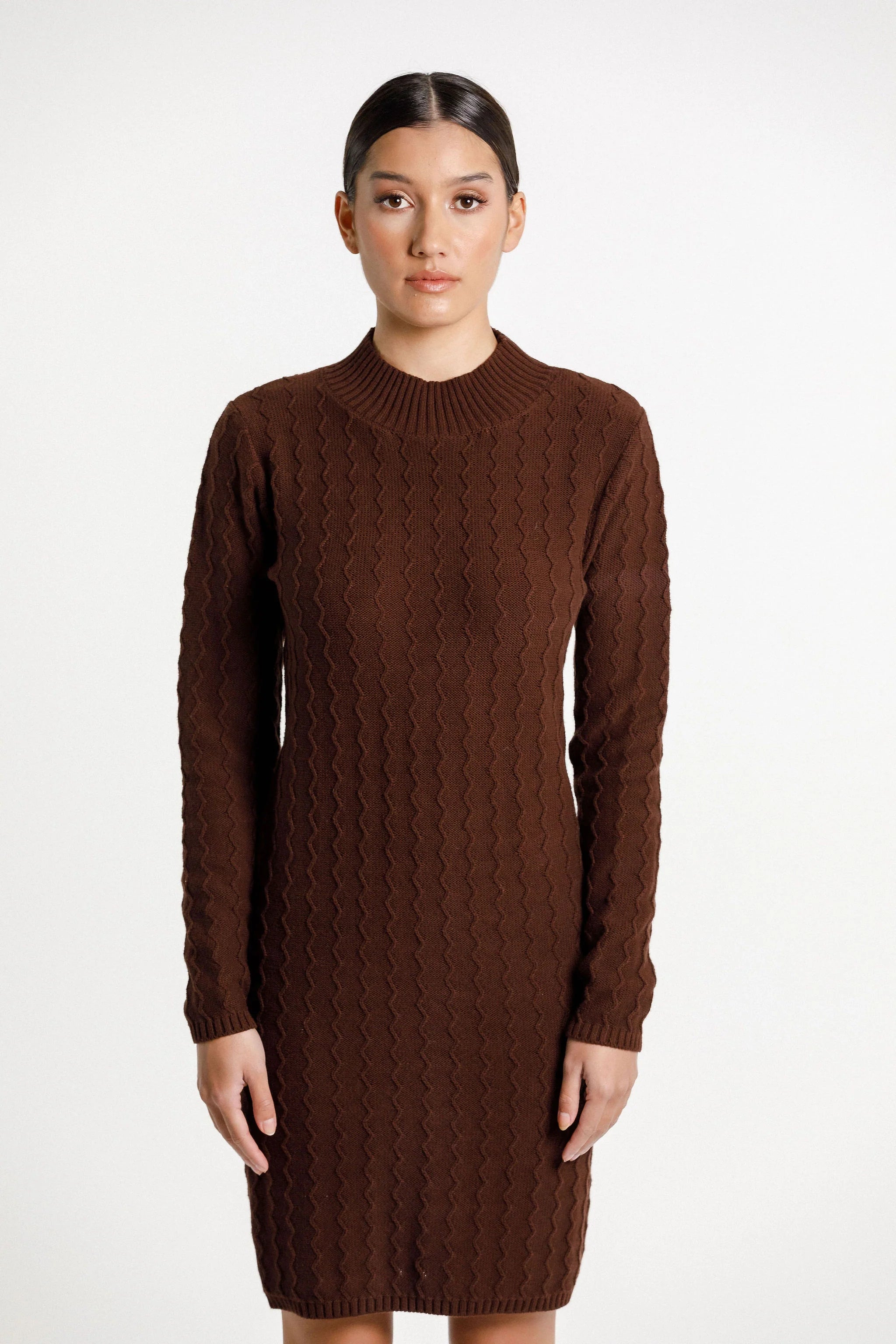 Thing Thing ZigZag Turtle Neck Dress - Chocolate - Stencil