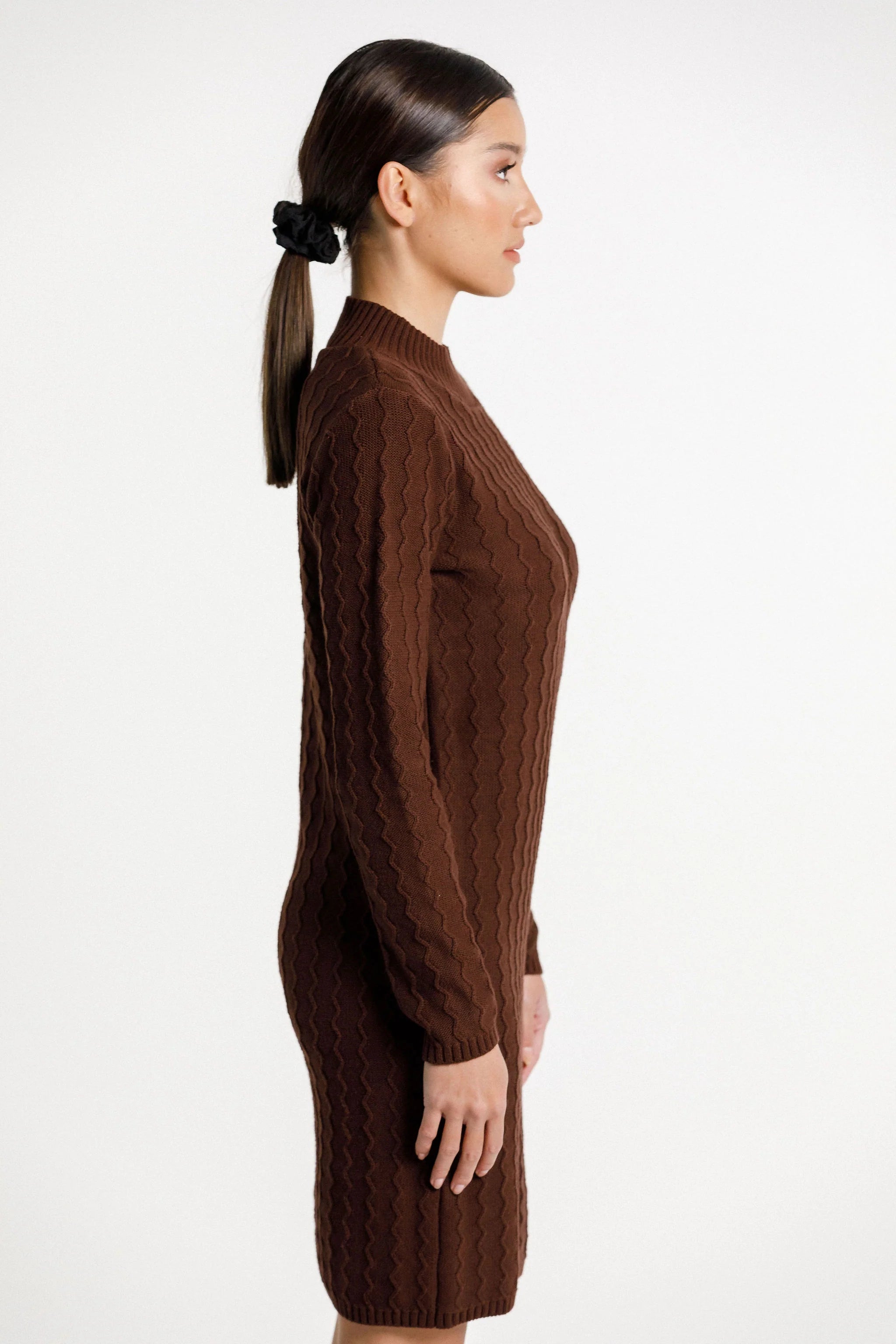 Thing Thing ZigZag Turtle Neck Dress - Chocolate - Stencil